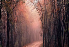 6T体育：汤加努库阿洛法以南海域发生6.0级地震.