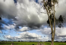 乌拉圭国脚：苏亚雷斯热心帮我要到梅西球衣，没想到梅西也要我的.