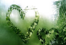 热议国足-告负：得失球比哇凉哇凉，迪拜两周练了啥.