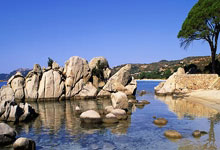 6T体育：​【原创】竞彩足球赛事分析推荐：周五009葡超-本菲卡VS法马利康.